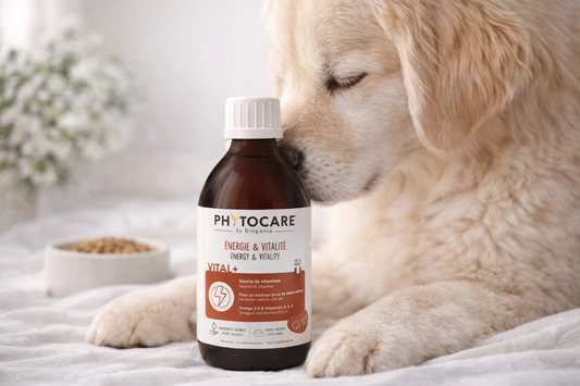 BIOGANCE Vital+ – Suplement
